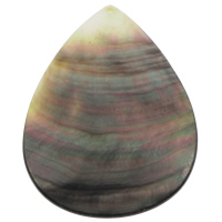 Gamtos Juoda Shell Pakabukai, Juoda "Shell", Ašara, natūralus, 47x65x3mm, Skylė:Apytiksliai 1mm, Pardavė PC