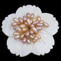 Freshwater Pearl Brosch, med White Shell & Mässing, Blomma, plated, naturliga, 3-4mm, 58x14mm, Säljs av PC