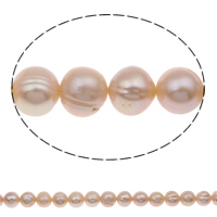 Barokní kultivované sladkovodní perle, Sladkovodní Pearl, růžový, 10-11mm, Prodáno za 15 inch Strand