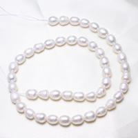 Rýže kultivované sladkovodní perle, Sladkovodní Pearl, přírodní, bílý, 7-8mm, Otvor:Cca 0.8mm, Prodáno za Cca 15.5 inch Strand