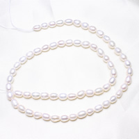 Rice Kulturan Slatkovodni Pearl perle, Riža, prirodan, bijel, 4-5mm, Rupa:Približno 0.8mm, Prodano Per Približno 15.5 inčni Strand