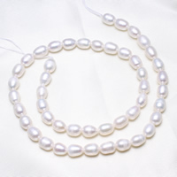 Rice ferskvandskulturperle Beads, Ferskvandsperle, Ris, naturlig, hvid, 6-7mm, Hole:Ca. 0.8mm, Solgt Per Ca. 15.5 inch Strand