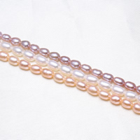 Rýže kultivované sladkovodní perle, Sladkovodní Pearl, přírodní, více barev na výběr, 3-4mm, Otvor:Cca 0.8mm, Prodáno za Cca 15.5 inch Strand