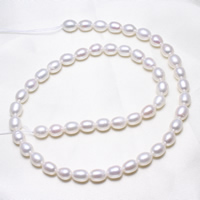 Rice ferskvandskulturperle Beads, Ferskvandsperle, Ris, naturlig, hvid, 6-7mm, Hole:Ca. 0.8mm, Solgt Per Ca. 15.5 inch Strand