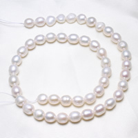 Rice Kulturan Slatkovodni Pearl perle, Riža, prirodan, bijel, 7-8mm, Rupa:Približno 0.8mm, Prodano Per Približno 15.5 inčni Strand