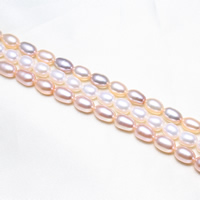 Rice Kulturan Slatkovodni Pearl perle, Riža, prirodan, više boja za izbor, 5.5-6mm, Rupa:Približno 0.8mm, Prodano Per Približno 15.5 inčni Strand