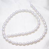 Rýže kultivované sladkovodní perle, Sladkovodní Pearl, přírodní, bílý, 6-7mm, Otvor:Cca 0.8mm, Prodáno za Cca 15.5 inch Strand