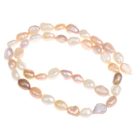 Barokna Kulturan Slatkovodni Pearl perle, prirodan, miješana boja, 7-8, Rupa:Približno 0.8mm, Prodano Per Približno 15.5 inčni Strand