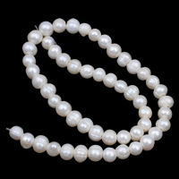 Coirníní Bharócach saothraithe Diúilicín Péarla, Pearl Fionnuisce, Oval, nádúrtha, bán, 8-9mm, Poll:Thart 2mm, Díolta Per Thart 15 Inse Snáithe