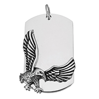 Acier inoxydable animaux Pendentifs, aigle, noircir, 33.50x50.50x7.50mm, Trou:Environ 6mm, Vendu par PC