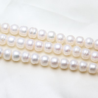 Knapp odlad sötvattenspärla pärlor, Freshwater Pearl, naturlig, vit, 9-10mm, Hål:Ca 0.8mm, Såld Per Ca 15.7 inch Strand