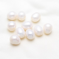 Természetes Édesvízi gyöngy kiszóródott, Keishi, fehér, 10-11mm, Lyuk:Kb 0.8mm, 10PC-k/Bag, Által értékesített Bag