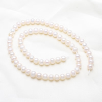 Krumpir Kulturan Slatkovodni Pearl perle, prirodan, bijel, 5-6mm, Rupa:Približno 0.8mm, Prodano Per Približno 15.5 inčni Strand