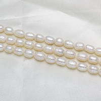 Rice Kulturan Slatkovodni Pearl perle, Riža, prirodan, bijel, ocjena, 8-9mm, Rupa:Približno 0.8mm, Prodano Per 15 inčni Strand