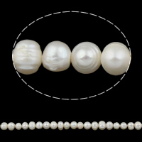 Barock odlad sötvattenspärla pärlor, Freshwater Pearl, Rund, vit, 5-6mm, Hål:Ca 0.8mm, Såld Per 14 inch Strand