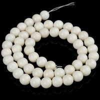 Grânulos corais naturais, Coral natural, Roda, tamanho diferente para a escolha, branco, Buraco:Aprox 1mm, vendido para Aprox 15.5 inchaltura Strand