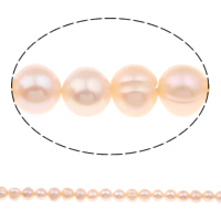 Okrugli Kulturan Slatkovodni Pearl perle, prirodan, roze, 7-8mm, Rupa:Približno 0.8mm, Prodano Per Približno 15 inčni Strand