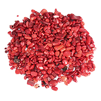 corallo naturale cabochon, Pepite, rosso, 2-14x4-11x4-8mm, 5KGs/lotto, Venduto da lotto