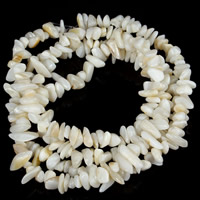 Perles en coquillage blanc naturel, coquille blanche, pepite, 5-8mm, Trou:Environ 1.5mm, Environ 120PC/brin, Vendu par Environ 31 pouce brin