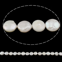 Coin odlad sötvattenspärla pärlor, Freshwater Pearl, vit, 12-13mm, Hål:Ca 0.8mm, Såld Per Ca 15.3 inch Strand