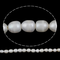 Rýže kultivované sladkovodní perle, Sladkovodní Pearl, přírodní, bílý, 11-12mm, Otvor:Cca 2mm, Prodáno By Strand