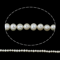 Clearance ferskvands perle perler, Ferskvandsperle, Kartoffel, naturlig, hvid, Grade AA, 5-6mm, Hole:Ca. 0.8mm, Solgt Per Ca. 14.5 inch Strand