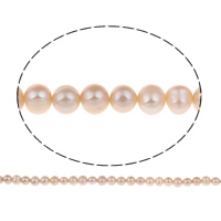 Perle sladkovodní odbavení, Sladkovodní Pearl, Brambor, přírodní, nachový, Grade AA, 7-8mm, Otvor:Cca 0.8mm, Prodáno za Cca 15 inch Strand