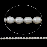 Rice Kulturan Slatkovodni Pearl perle, Riža, prirodan, bijel, ocjena, 7-8mm, Rupa:Približno 0.8mm, Prodano Per 14.5 inčni Strand