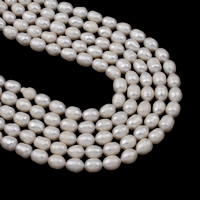 Freshwater Pearl Bead, Ris, naturlig, vit, 7-8mm, Hål:Ca 0.8mm, Såld Per Ca 15.5 inch Strand