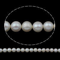 Krumpir Kulturan Slatkovodni Pearl perle, prirodan, bijel, 9-10mm, Rupa:Približno 0.8mm, Prodano Per Približno 15 inčni Strand