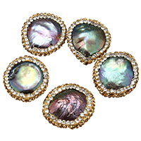 Abalone Shell Beads with Rhinestone Clay Pave natural mixed 16-19x17-20x5-7mm Approx 1mm Sold By Lot