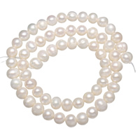 Kulaté kultivované sladkovodní perle, Sladkovodní Pearl, Kolo, přírodní, bílý, 5-6mm, Otvor:Cca 0.8mm, Prodáno za Cca 14.5 inch Strand