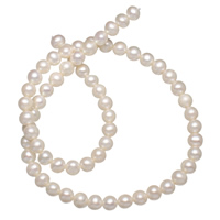 Runda odlad sötvattenspärla pärlor, Freshwater Pearl, naturlig, vit, Grade A, 6-7mm, Hål:Ca 0.8mm, Såld Per 15.5 inch Strand