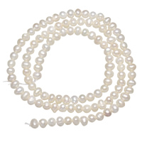 Krumpir Kulturan Slatkovodni Pearl perle, prirodan, bijel, 3-4mm, Rupa:Približno 0.5mm, Prodano Per Približno 15 inčni Strand