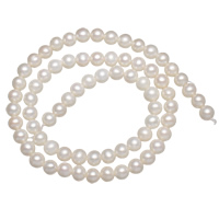 Runde ferskvandskulturperle Beads, Ferskvandsperle, naturlig, hvid, 5-6mm, Hole:Ca. 0.8mm, Solgt Per Ca. 15.5 inch Strand