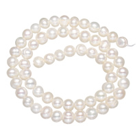 Krumpir Kulturan Slatkovodni Pearl perle, prirodan, bijel, 5-6mm, Rupa:Približno 0.8mm, Prodano Per Približno 14.2 inčni Strand