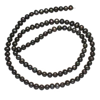 Krumpir Kulturan Slatkovodni Pearl perle, crn, 4-5mm, Rupa:Približno 0.8mm, Prodano Per Približno 14.3 inčni Strand