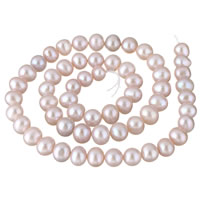 Grânulos pérolas cultivads de água doce, Pérolas de água doce, Batata, naturais, roxo, 7-8mm, Buraco:Aprox 0.8mm, vendido para Aprox 15.7 inchaltura Strand