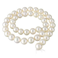 Perles nacres pommes de terre de culture d'eau douce, perle d'eau douce cultivée, pomme de terre, naturel, blanc, 10-11mm, Trou:Environ 0.8mm, Vendu par Environ 15.7 pouce brin