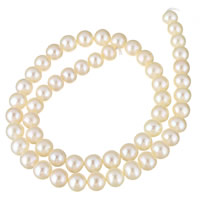 Krumpir Kulturan Slatkovodni Pearl perle, prirodan, bijel, 7-8mm, Rupa:Približno 0.8mm, Prodano Per Približno 15 inčni Strand