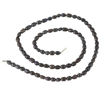 Rýže kultivované sladkovodní perle, Sladkovodní Pearl, černý, 2-3mm, Otvor:Cca 0.8mm, Prodáno za Cca 14.2 inch Strand