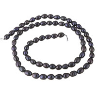 Perles d'eau douce de culture de riz, perle d'eau douce cultivée, noire, 4-5mm, Trou:Environ 0.8mm, Vendu par Environ 15 pouce brin