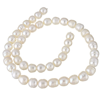 Rýže kultivované sladkovodní perle, Sladkovodní Pearl, přírodní, bílý, 9-10mm, Prodáno za Cca 15.7 inch Strand