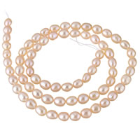 Rýže kultivované sladkovodní perle, Sladkovodní Pearl, přírodní, růžový, 4-5mm, Prodáno za Cca 15.3 inch Strand