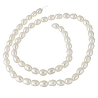 Keishi Kulturan Slatkovodni Pearl perle, prirodan, bijel, 5-6mm, Prodano Per Približno 15 inčni Strand