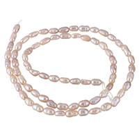 Rýže kultivované sladkovodní perle, Sladkovodní Pearl, přírodní, nachový, 3-4mm, Otvor:Cca 0.8mm, Prodáno za Cca 15 inch Strand