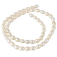 Rice Kulturan Slatkovodni Pearl perle, Riža, prirodan, bijel, 5-6mm, Rupa:Približno 0.8mm, Prodano Per Približno 15 inčni Strand