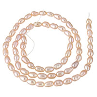 Rýže kultivované sladkovodní perle, Sladkovodní Pearl, přírodní, růžový, 3-4mm, Otvor:Cca 0.8mm, Prodáno za Cca 15.3 inch Strand