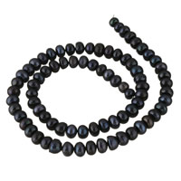 Button Gekweekte Zoetwater Parel kralen, Knop, zwart, 6-7mm, Gat:Ca 0.8mm, Per verkocht Ca 14.5 inch Strand