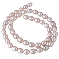 Naturliga sötvattenspärla lösa pärlor, Freshwater Pearl, purpur, 6-7mm, Hål:Ca 0.8mm, Såld Per Ca 15.5 inch Strand